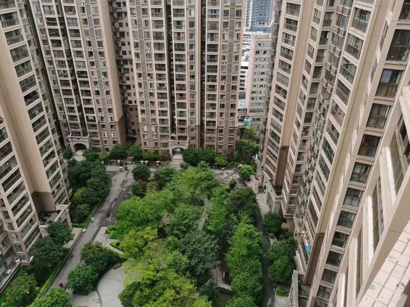 白鹤香洲