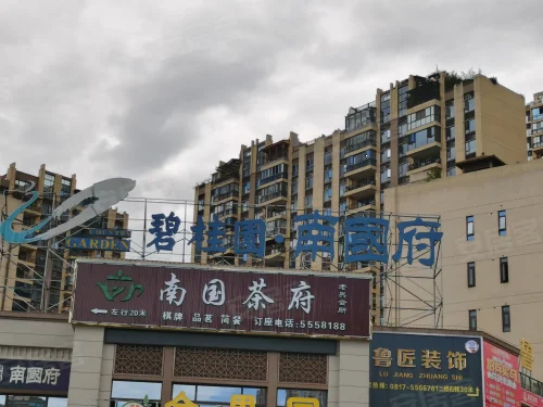 碧桂园南国府